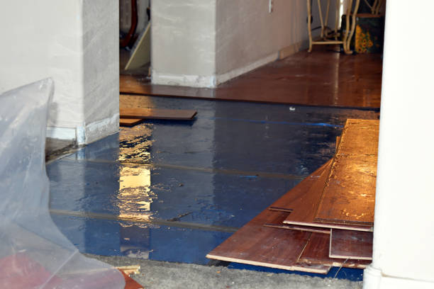 Professional Water Damage Restoration technician working in Maury, NC